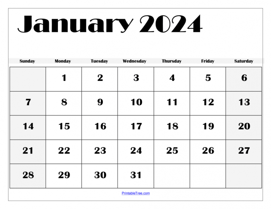 January  Calendar Printable PDF Template with Holidays
