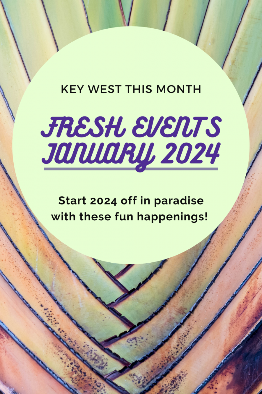 The Best Things To Do In Key West January   Key West Food Tours