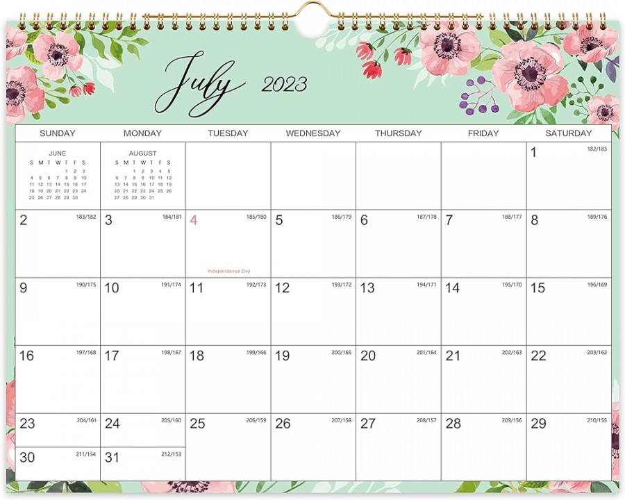 Wall Calendar -  Monthly Wall Calendar, January