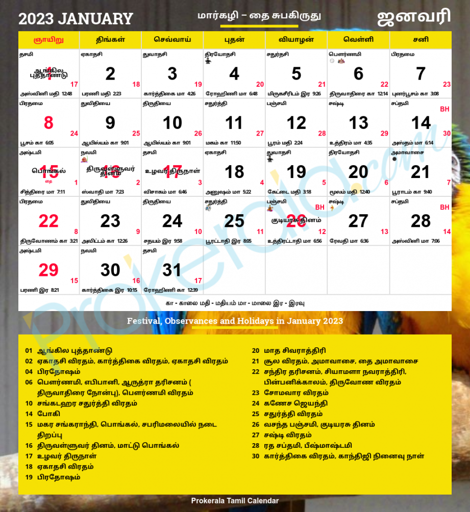 Tamil Calendar   Tamil Nadu Festivals  Tamil Nadu Holidays