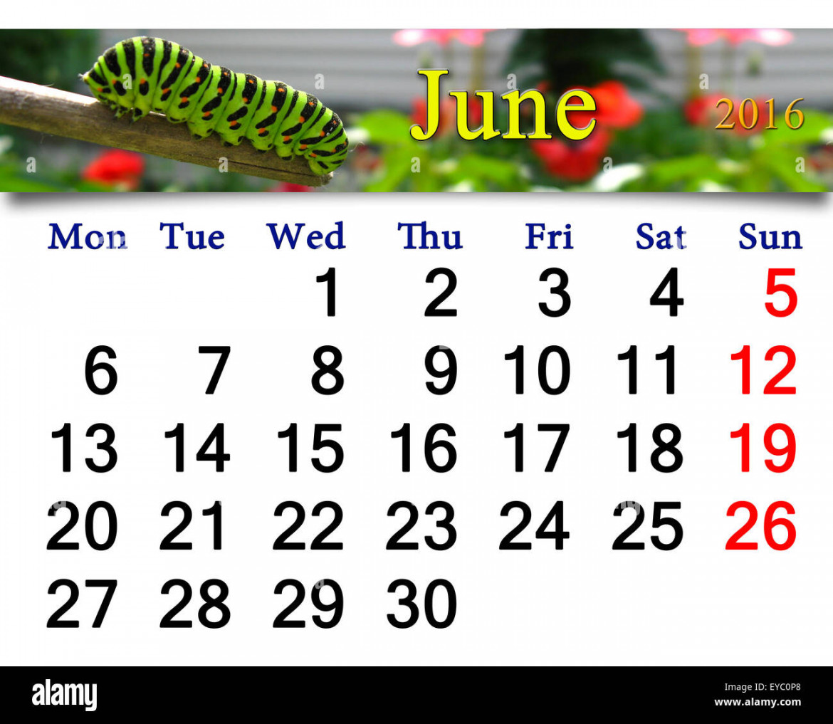calendar for June of  with caterpillar of butterfly Stock