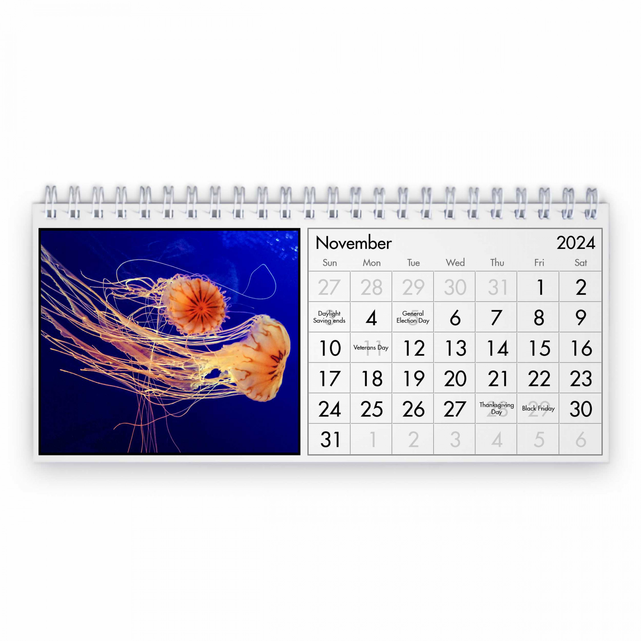 Jellyfish  Desk Calendar