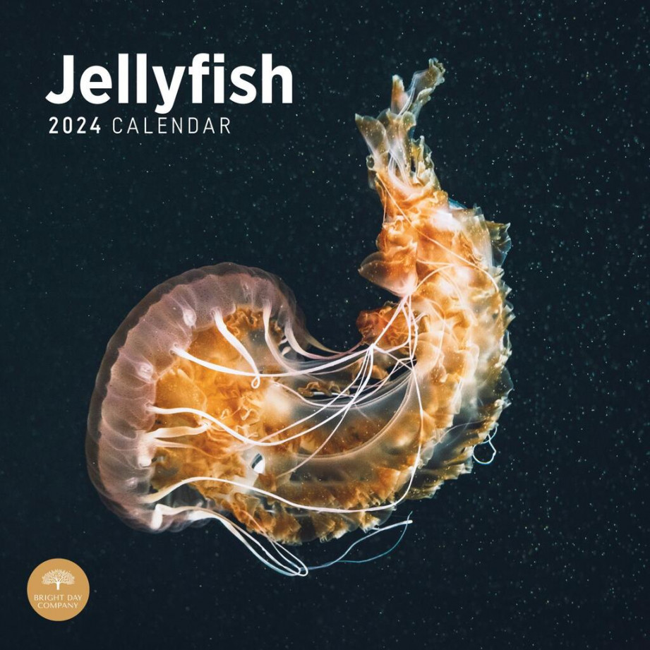 Jellyfish  Wall Calendar - Calendars