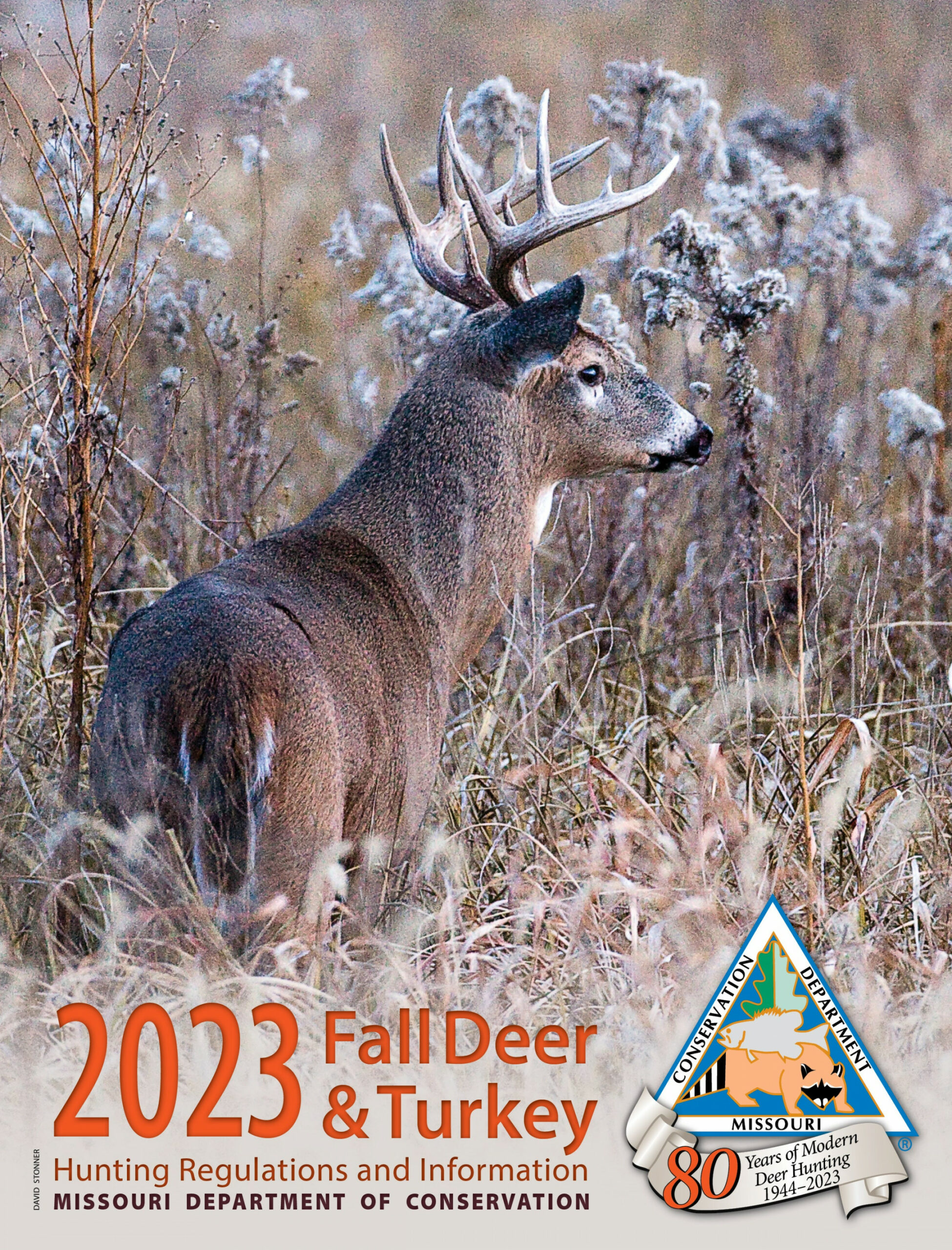 Deer  Missouri Department of Conservation