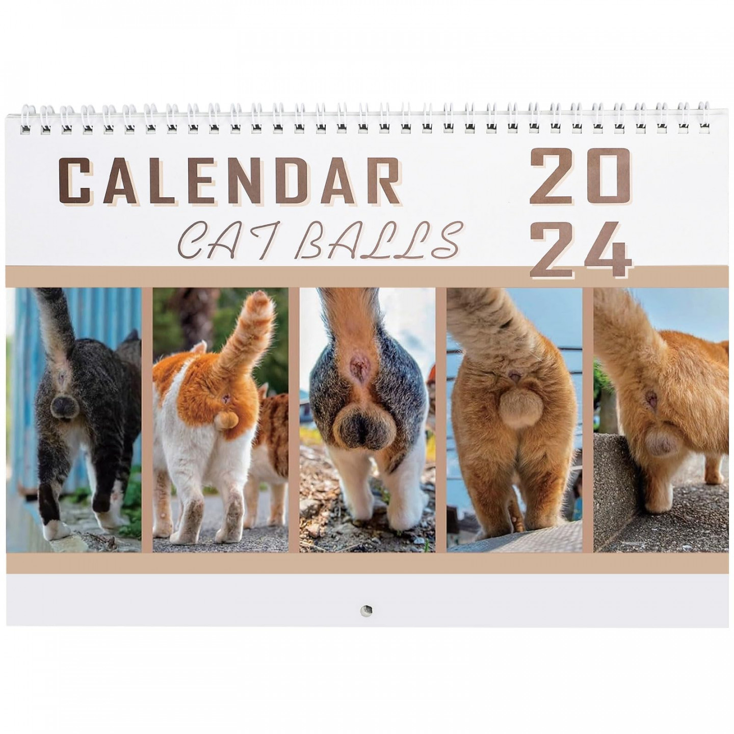 Wall Calendar –  Monthly Funny Cats Calendar , Jan  - Dec  , Funny Cat Calendar Gag Gifts, ." x ." (Open),