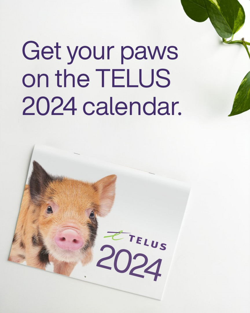 TELUS on X: "For the fans: the wait is over! Our  calendar is