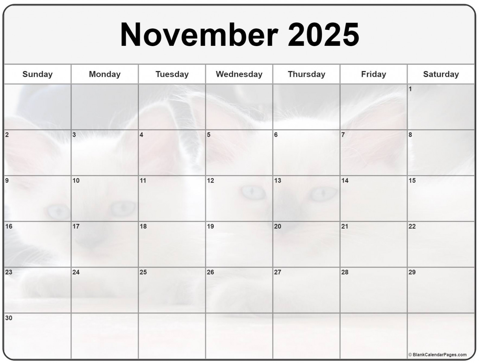 Collection of November  photo calendars with image filters.