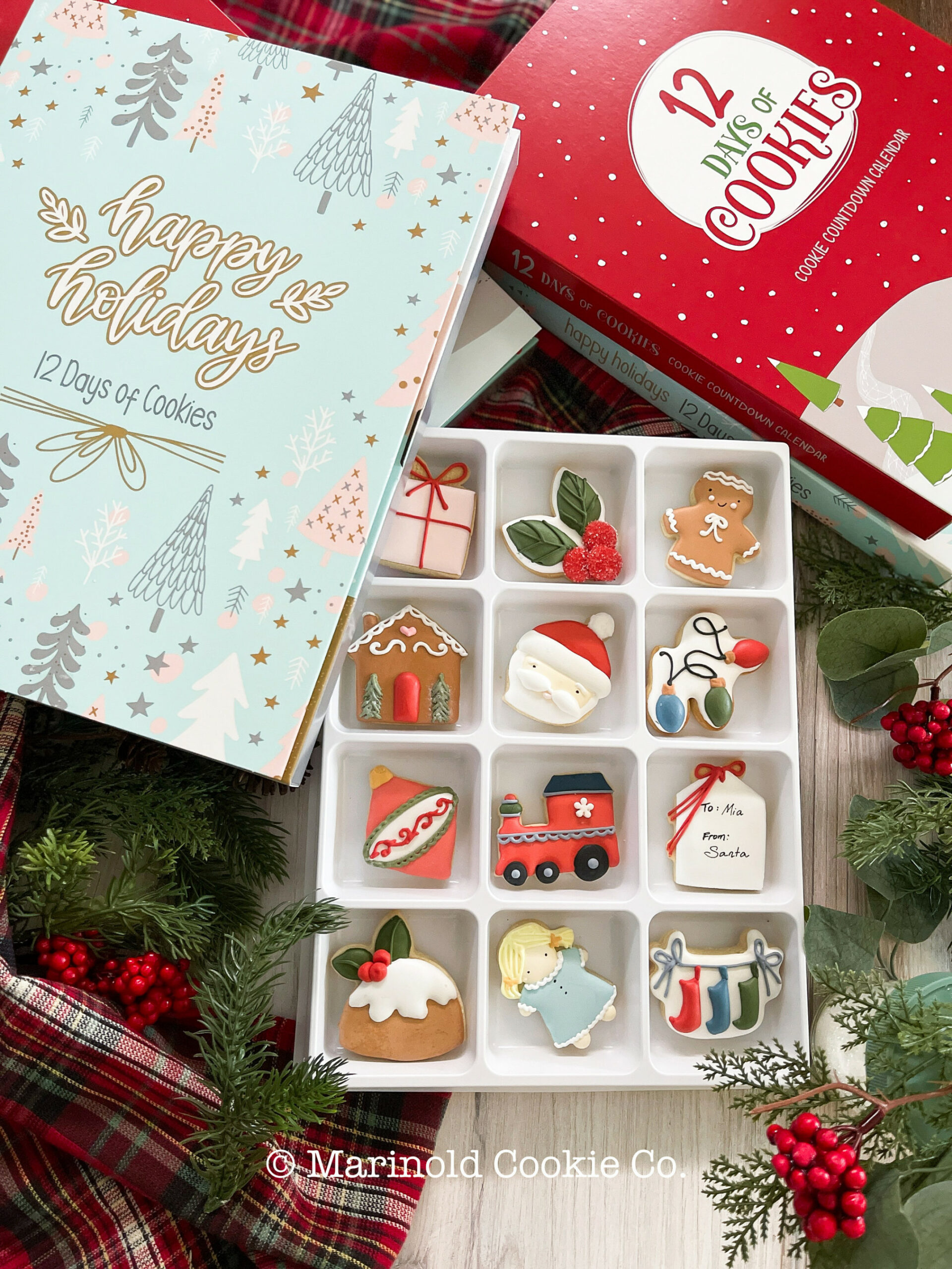 Days of Christmas Cookies Advent Calendar - Blue Holiday Box - Etsy